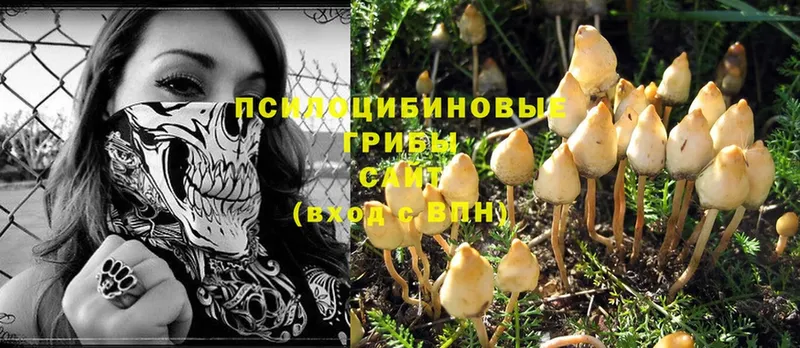 blacksprut ссылки  маркетплейс телеграм  Карабаш  Псилоцибиновые грибы Psilocybine cubensis  наркошоп 